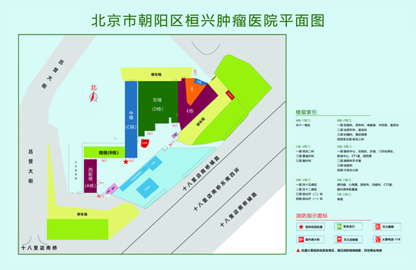 操逼骚网北京市朝阳区桓兴肿瘤医院平面图